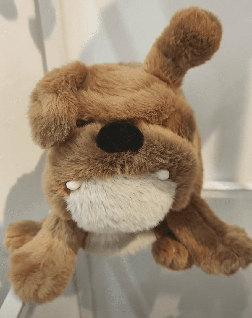 Chien Coquin à l’Oreille Levée